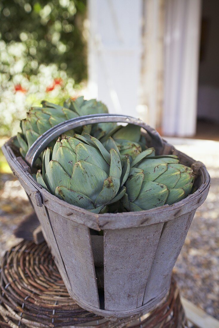 Artichokes in a basket