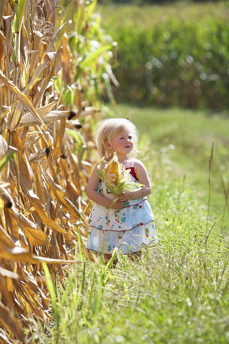 Blondes Mädchen mit Maiskolben neben einem Maisfeld