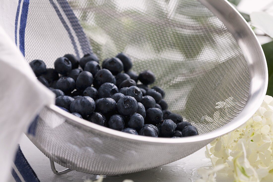 Wet blueberries in a sieve