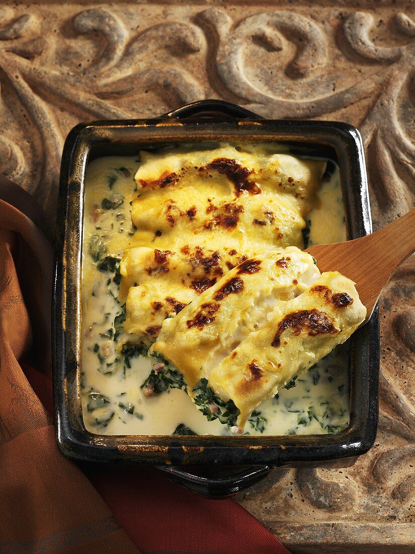 Cannelloni filled with kale
