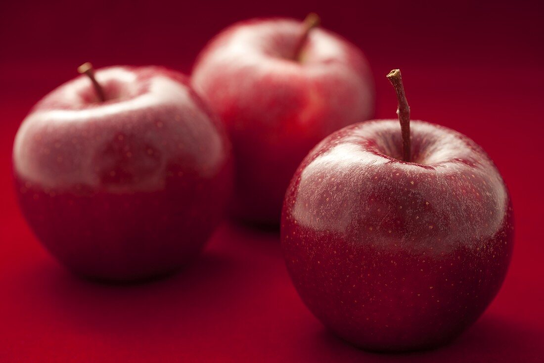 Rote Äpfel auf rotem Grund