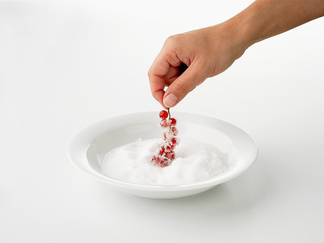 A hand dipping redcurrants into sugar