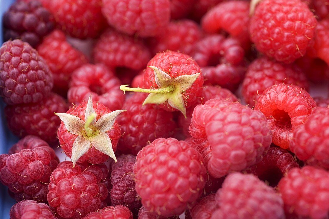 Raspberries