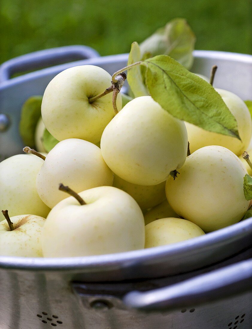 A bowl of white apples