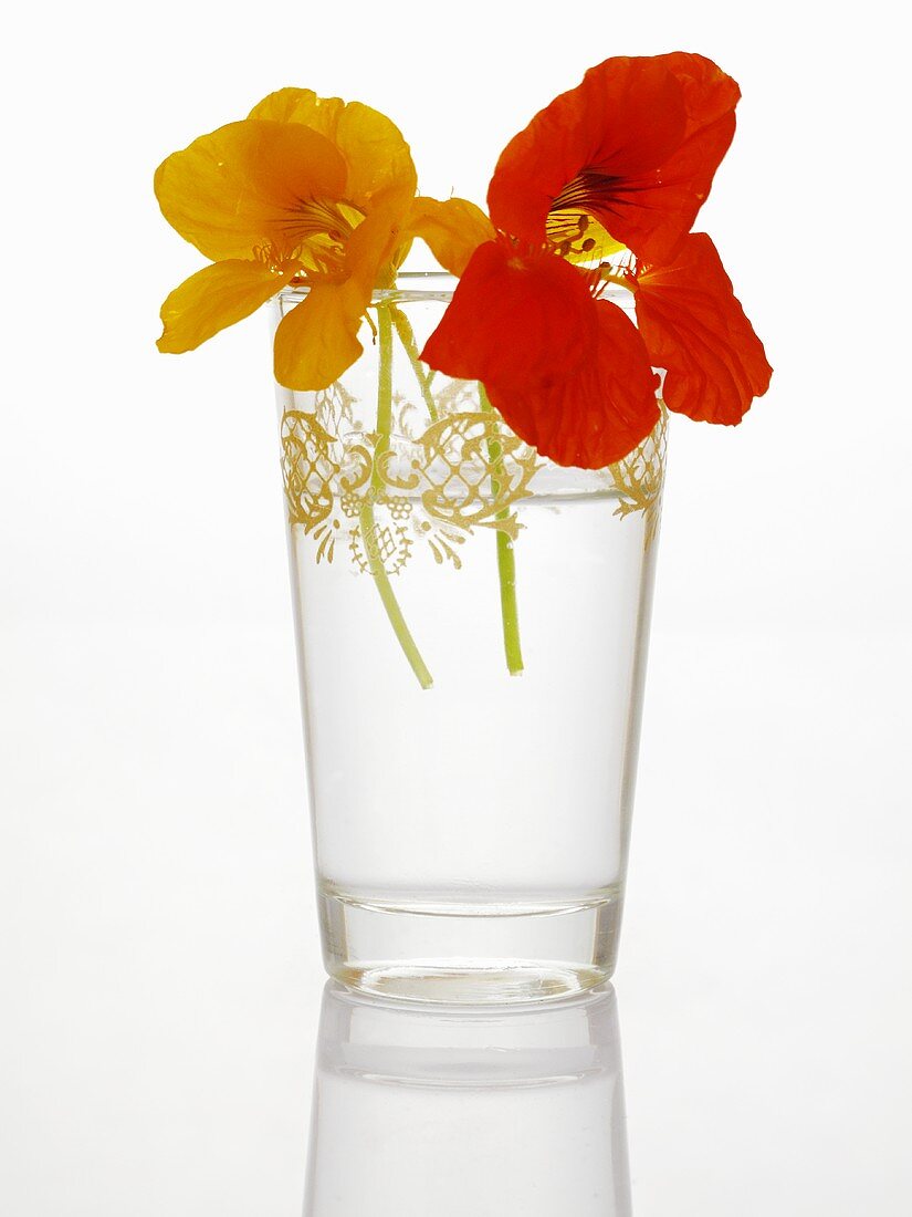 Kapuzinerkresseblüten im Wasserglas