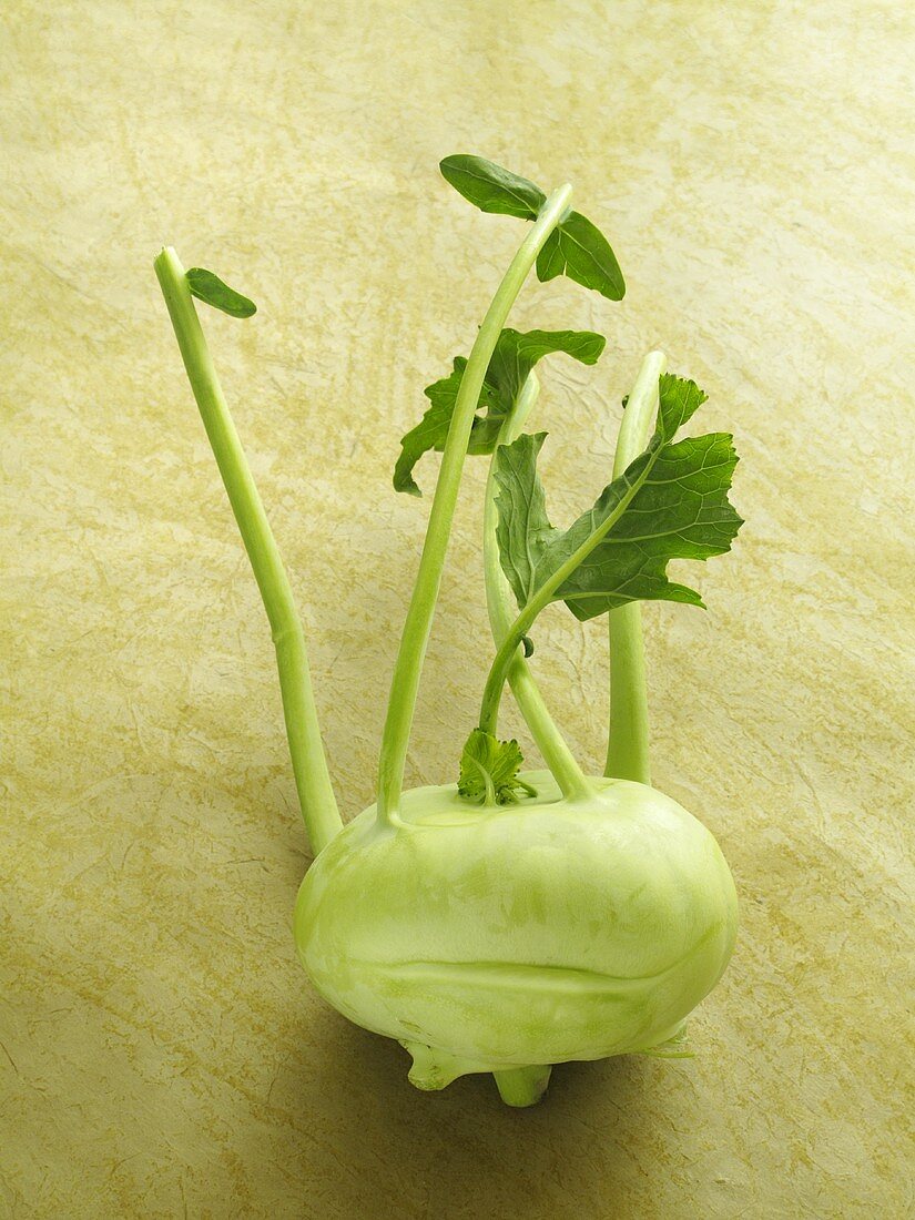 Ein Kohlrabi