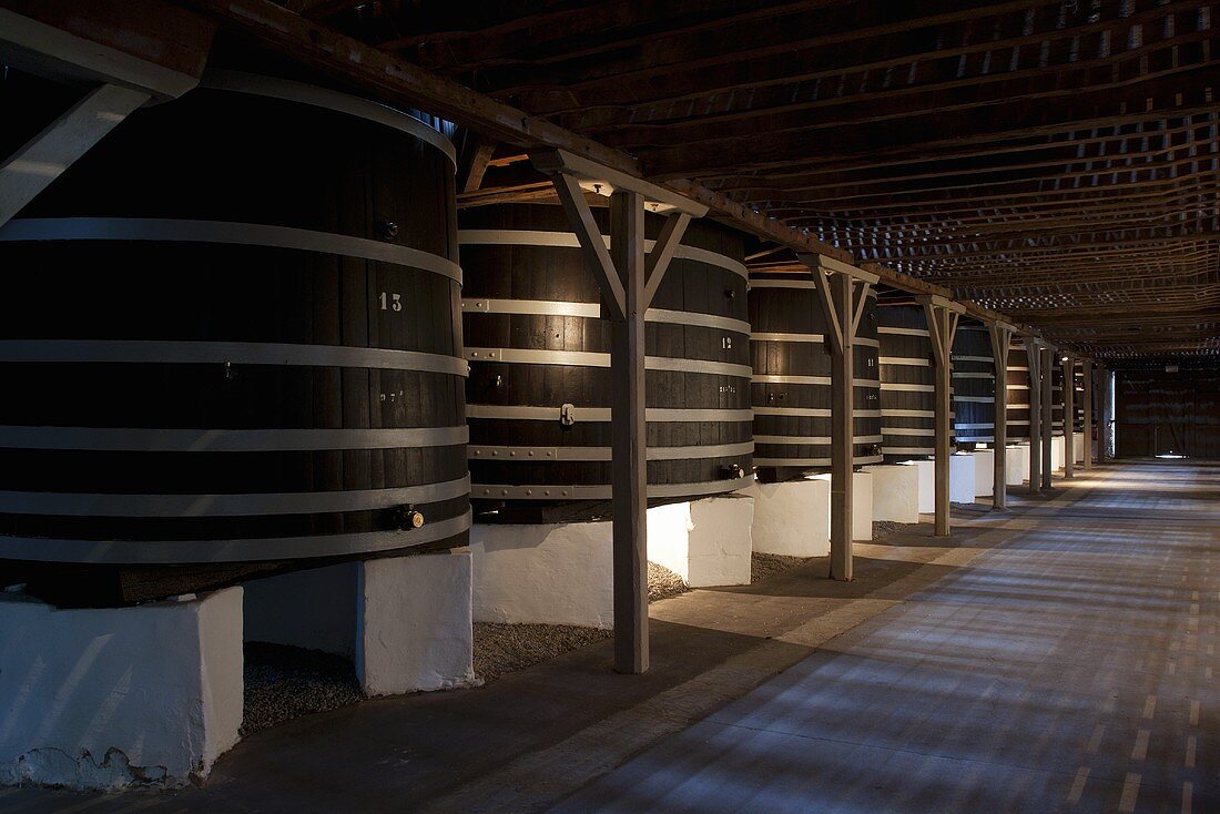 Wine barrels in a hall