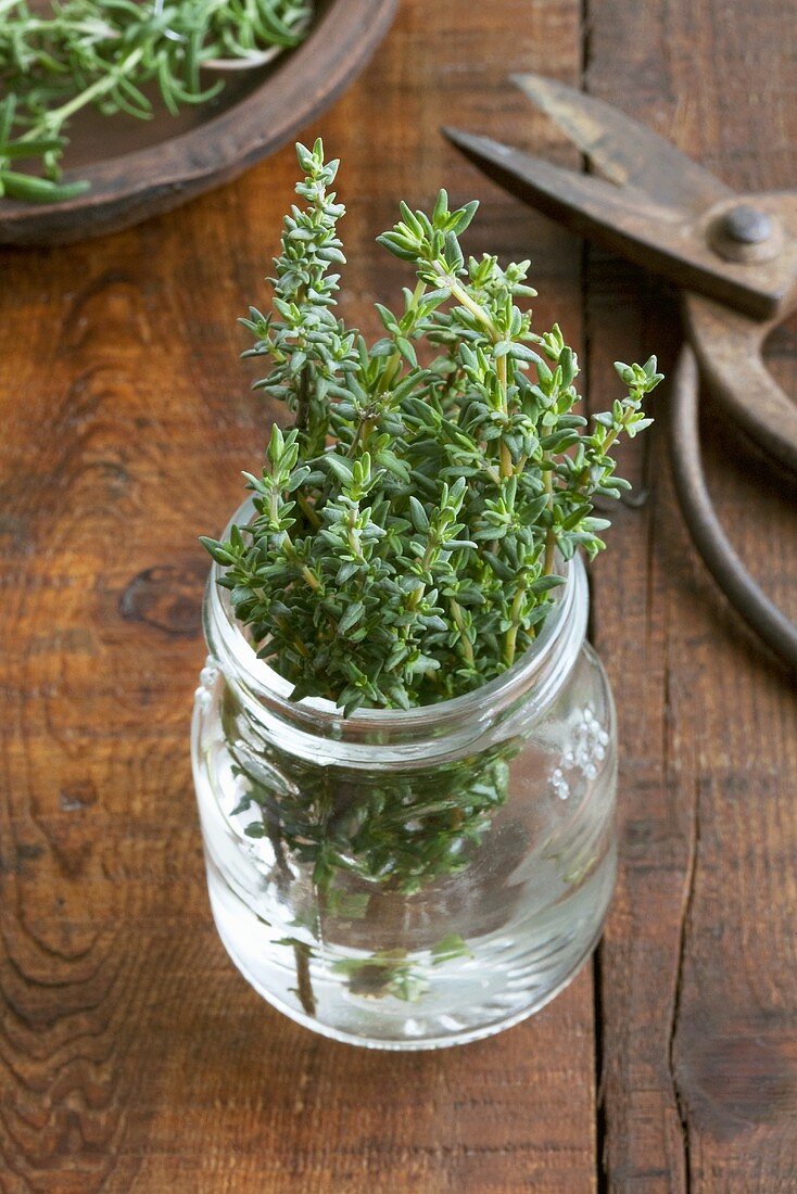 Thyme in a jar