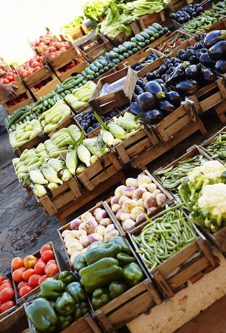 Viele Steigen mit frischem Gemüse auf dem Markt