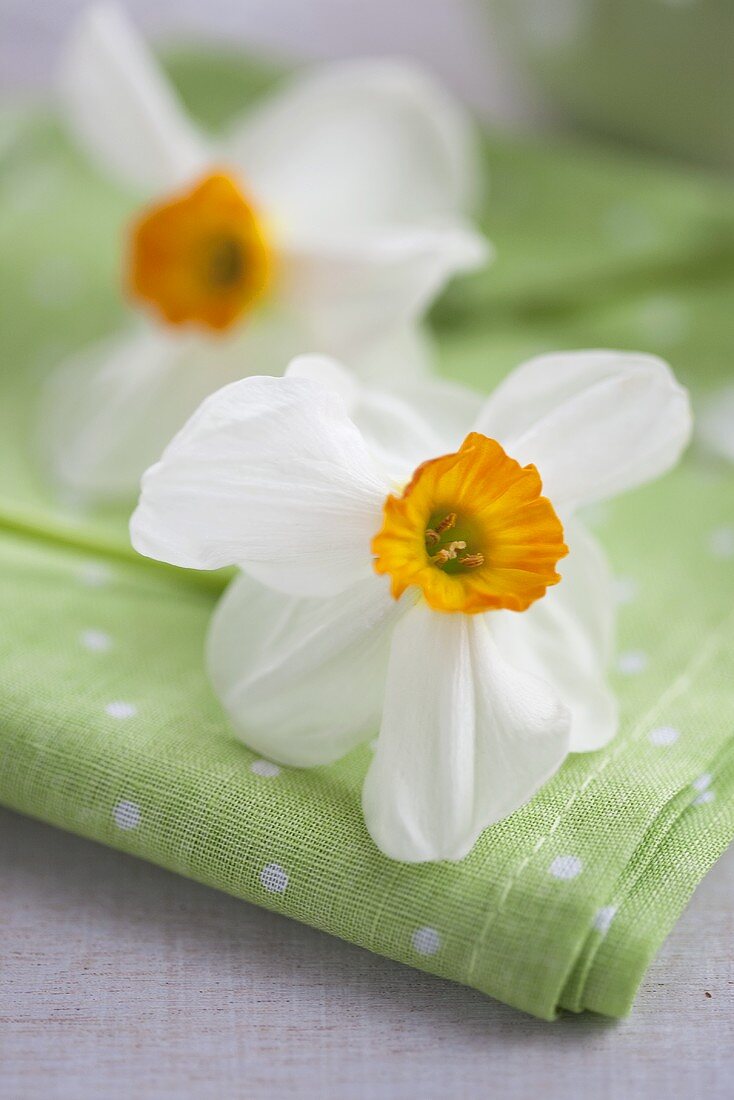 Serviette mit Narzissenblüten