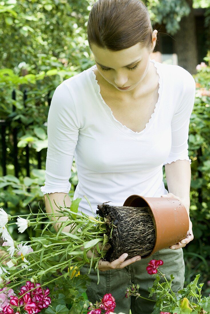 Young woman re-potting plants