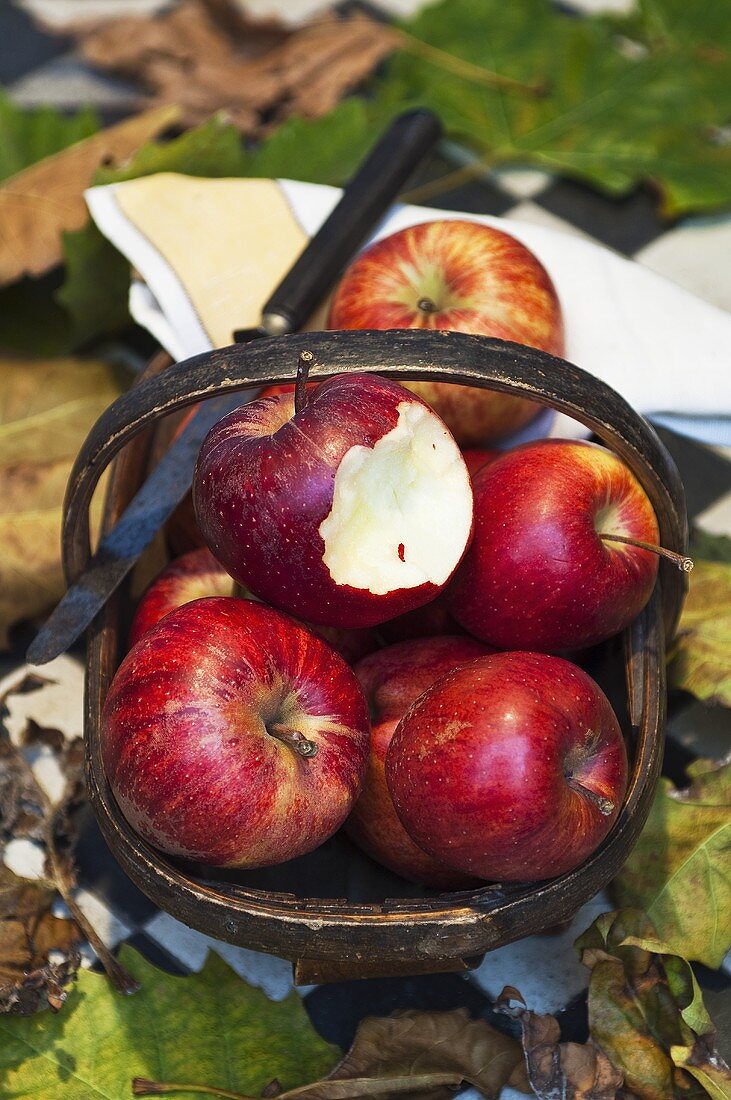 A basket of Royal Gala apples