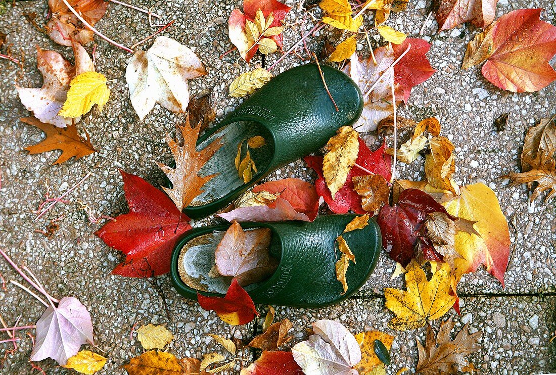 Gartenschuhe im Herbstlaub von oben