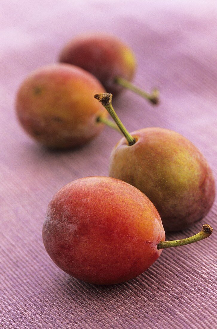 Several plums