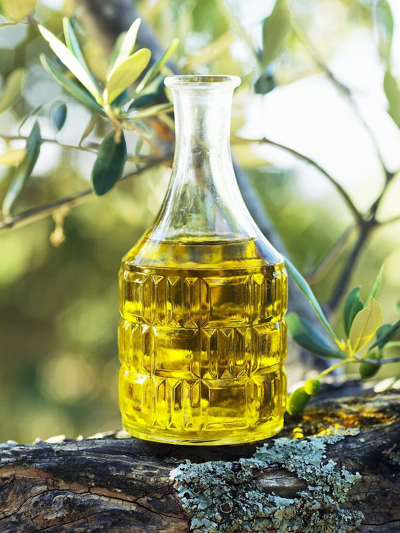 Olivenöl auf Olivenbaumstamm