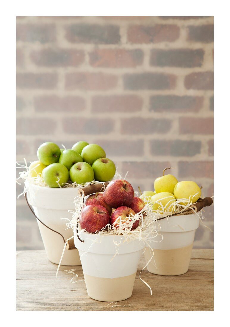 Various types of apples in buckets