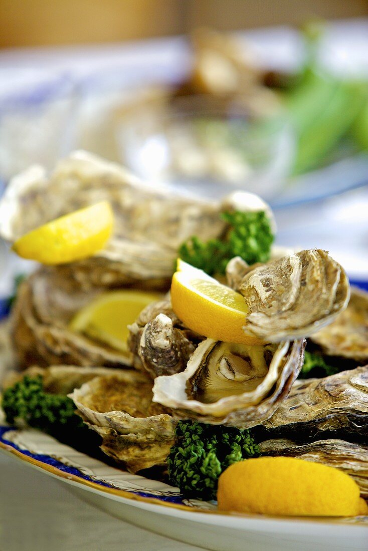 Fresh oysters with lemon