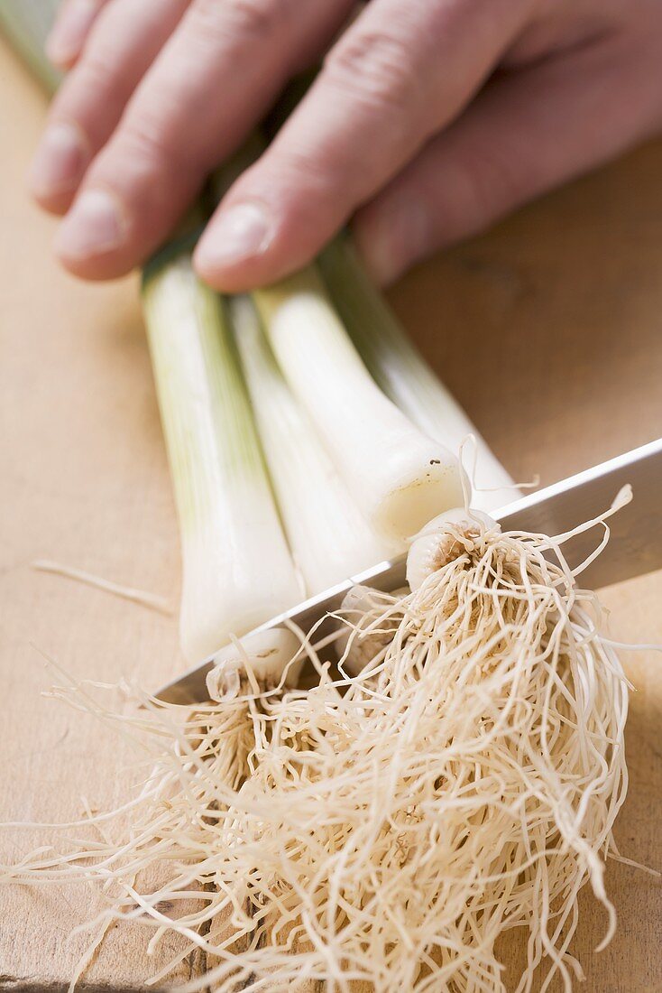 Roots being cut off spring onions