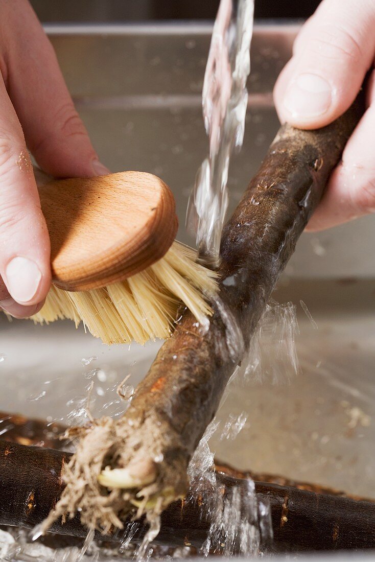 Black salsify being washed