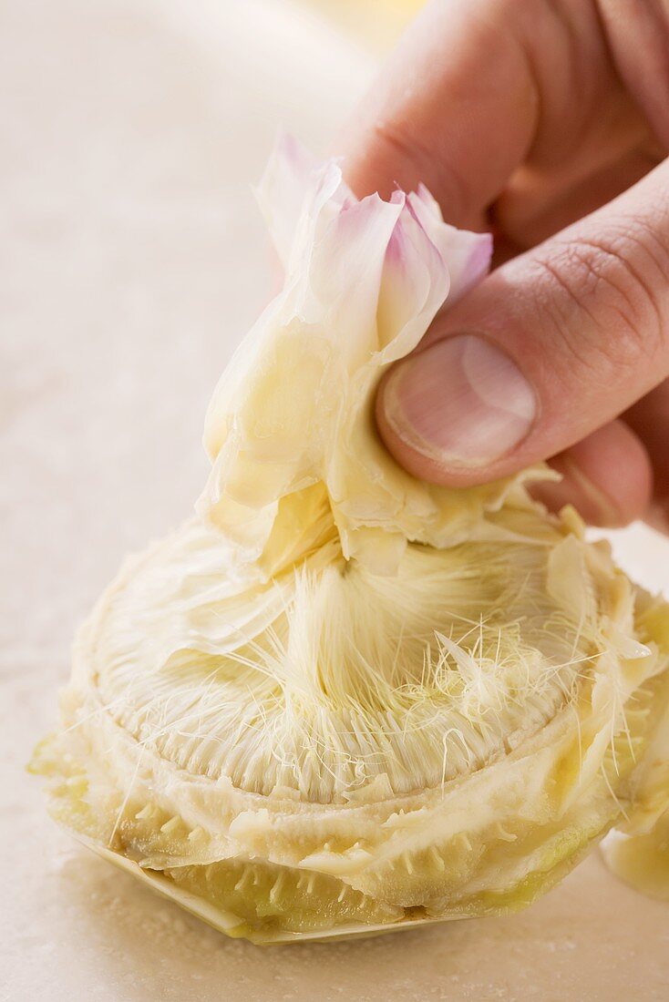 An artichoke base being removed