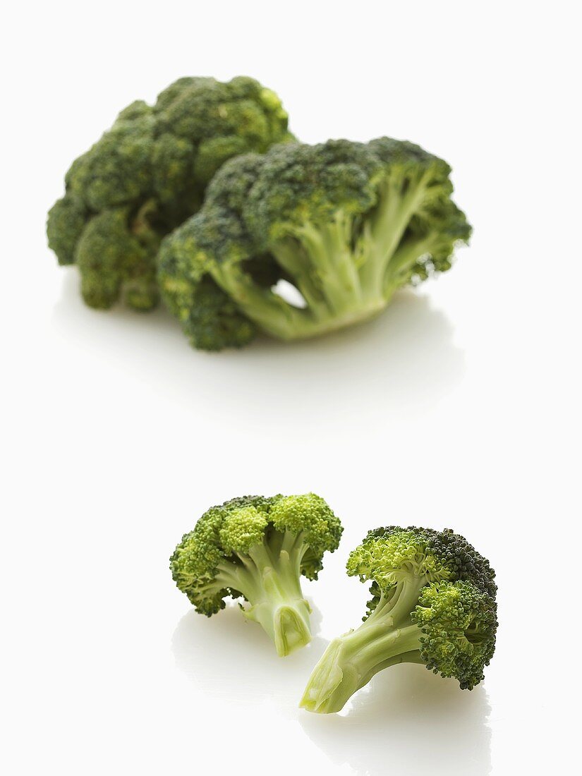 Broccoli and individual florets