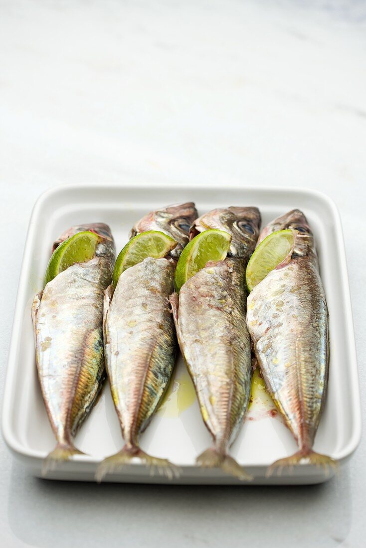 Marinated sardines with lime wedges