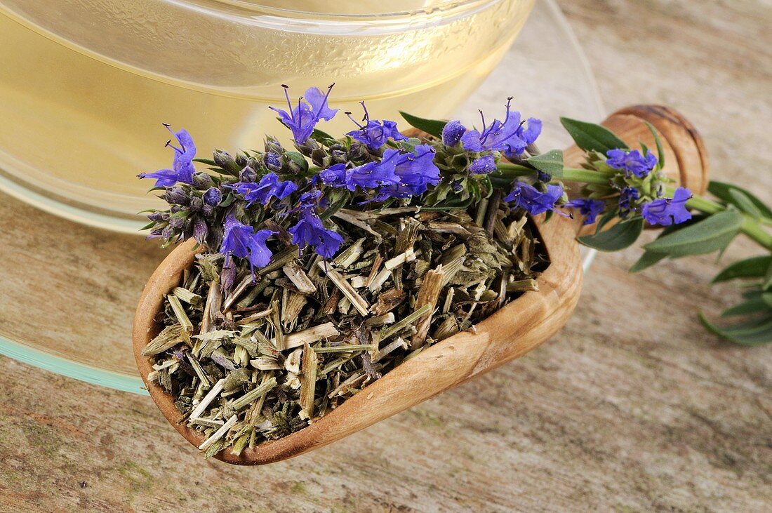 Hyssop tea with fresh and dried hyssop