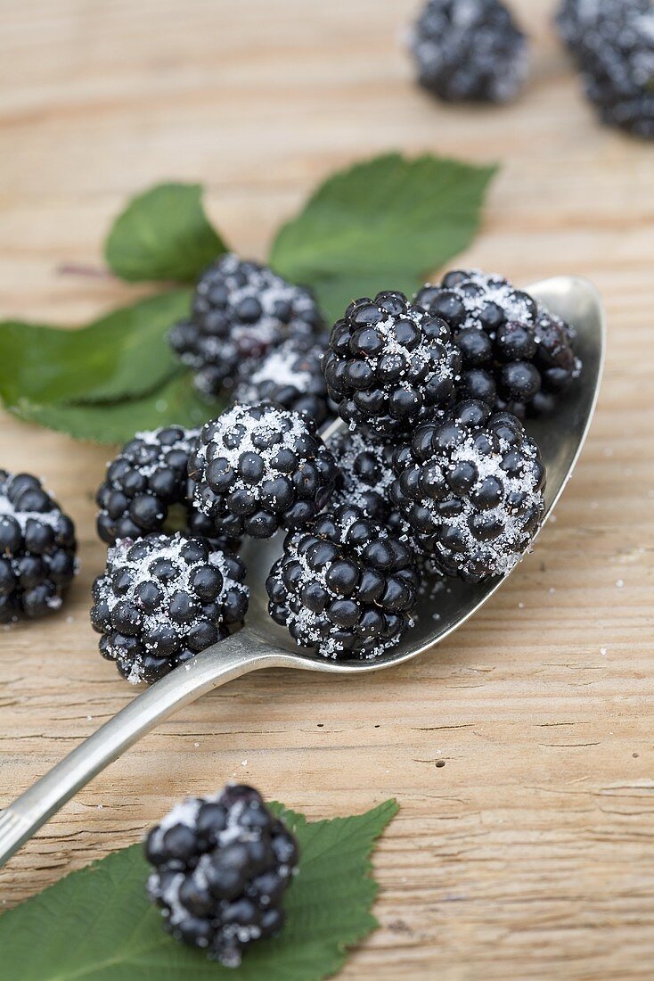 Gezuckerte Brombeeren mit Löffel