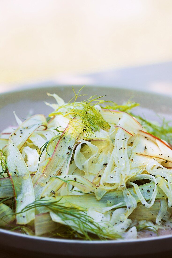 Fenchelsalat mit Dill