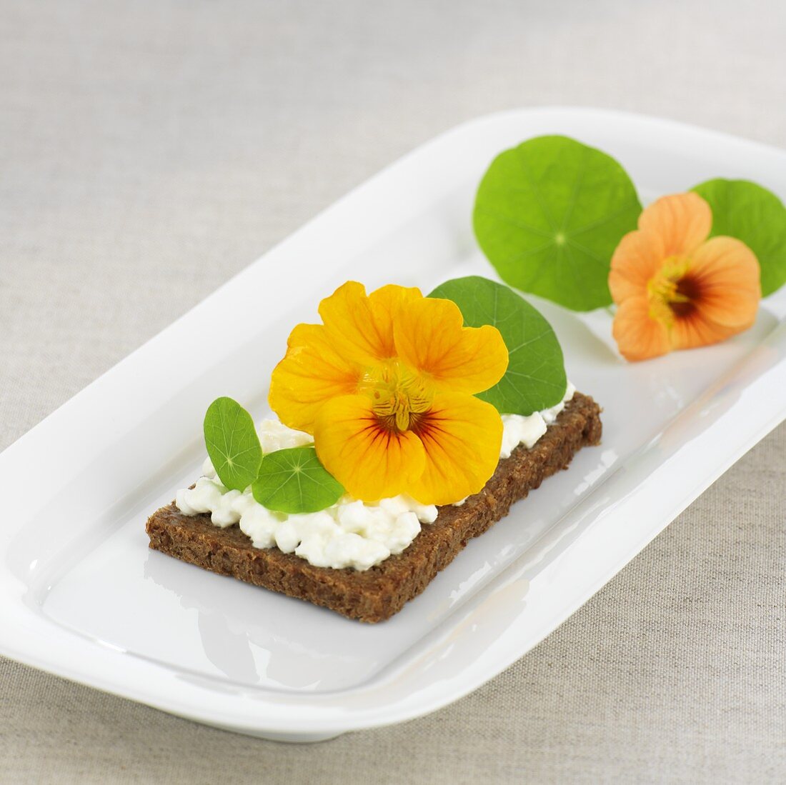 Cottage cheese and nasturtium flowers on wholemeal bread
