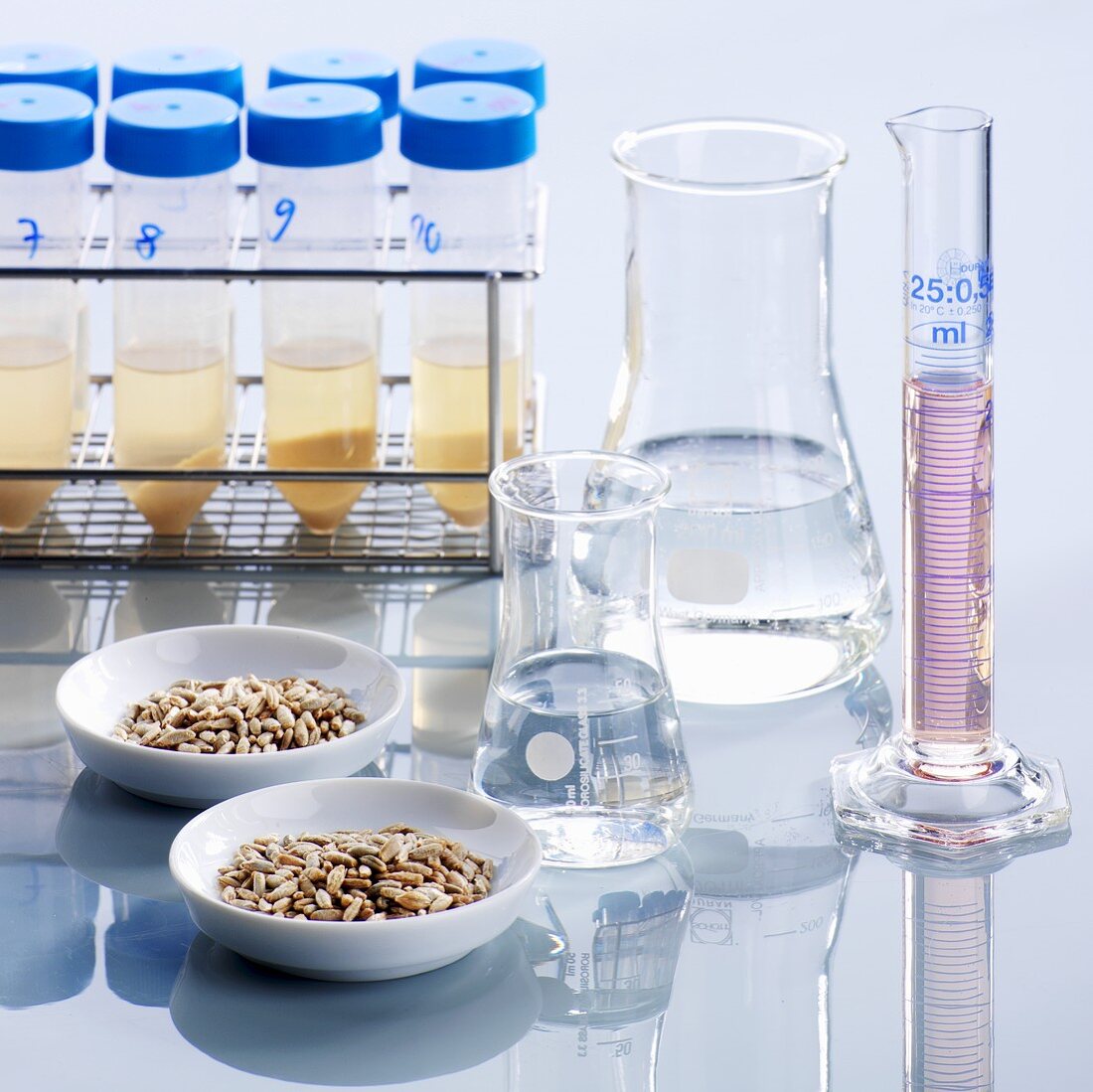 Food testing (test tubes, conical flasks, cereal grains)