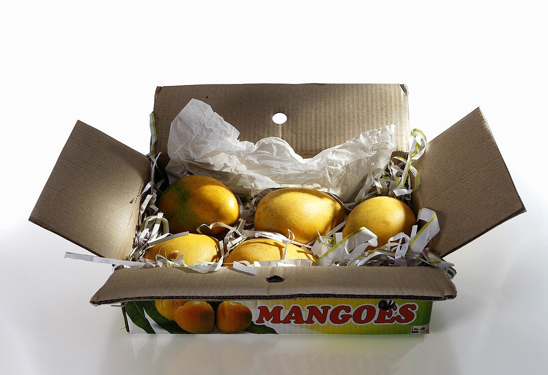 Fresh mangoes in a cardboard box