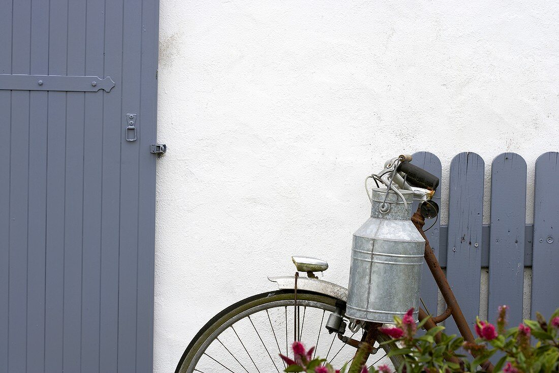Milk can on old bicycle leaning on house wall