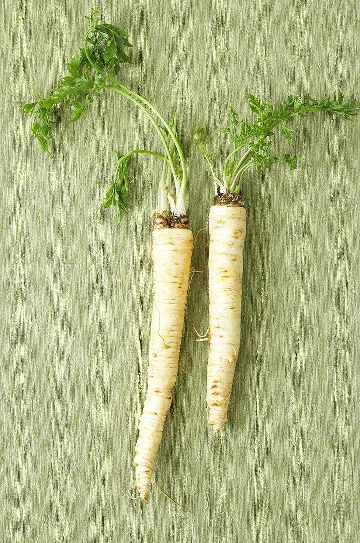 Two Hamburg parsley roots with leaves
