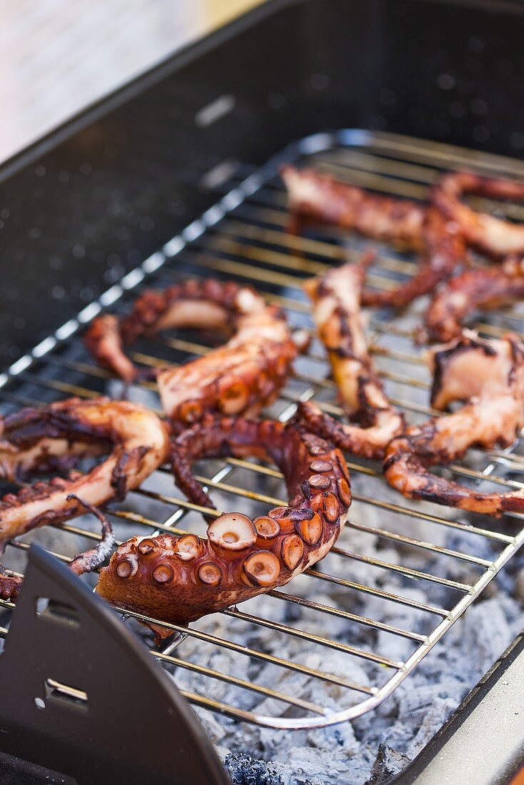 Oktopus auf einem Grill