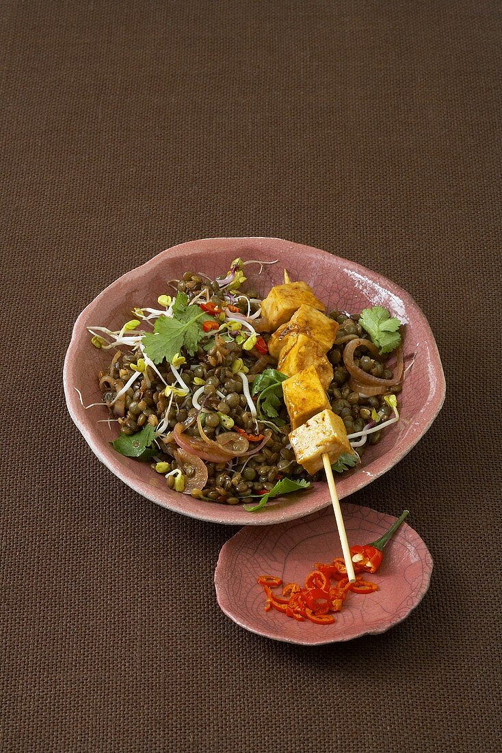 Asian lentil salad with marinated tofu skewer