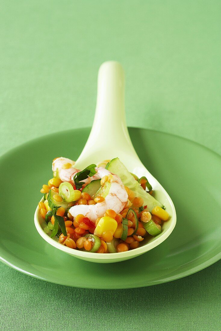 Lentil salad with shrimps on a porcelain spoon