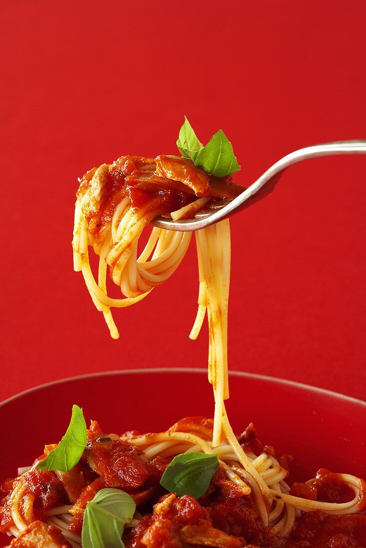 Spaghetti with tuna and tomato sauce