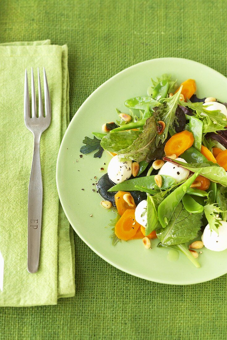 Mixed summer salad with mozzarella