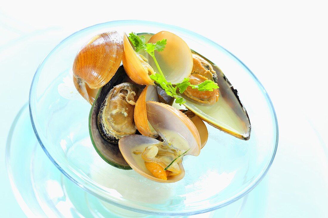 Steamed shellfish on glass plate