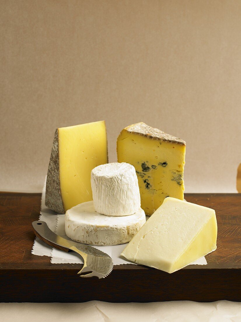 Verschiedene französische und itlaienische Käsesorten