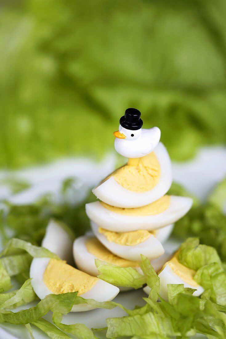Quails' eggs on amusing cocktail stick with iceberg lettuce