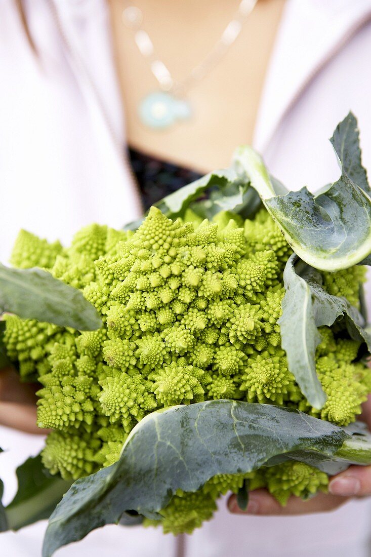 Woman holding a head of romanesco broccoli in her hands
