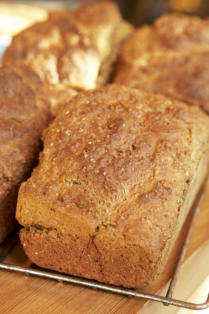 Loaves of wholemeal bread on an oven rack