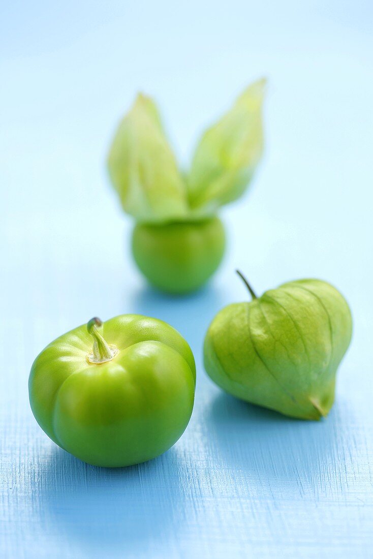 Three tomatillos on blue background