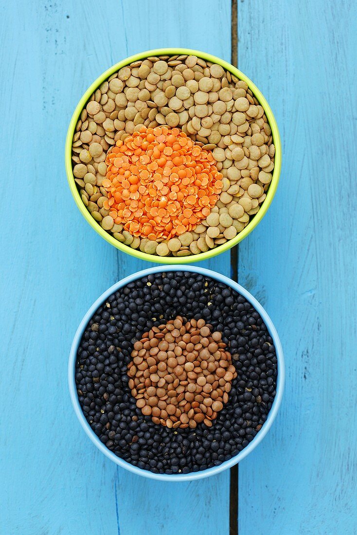 Black, brown, yellow and red lentils