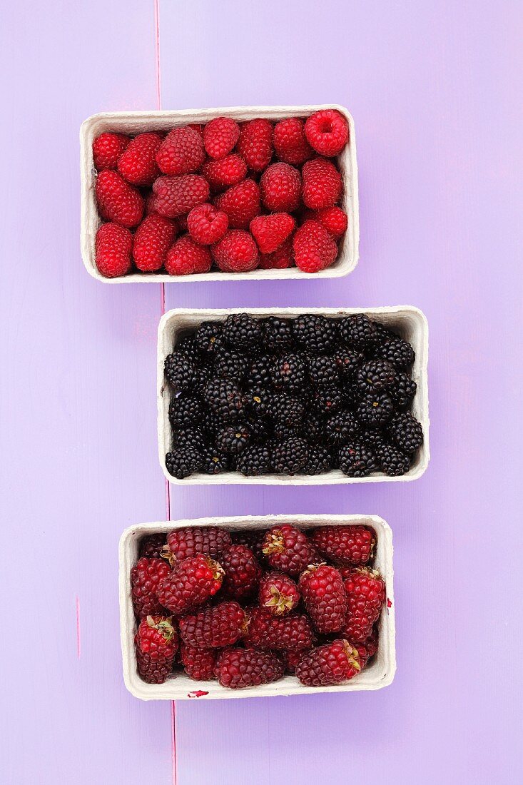 Tayberries (raspberry-blackberry cross), blackberries & raspberries