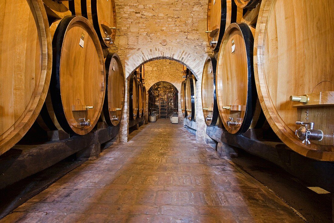 Wine cellar, Montepulciano, Tuscany, Italy