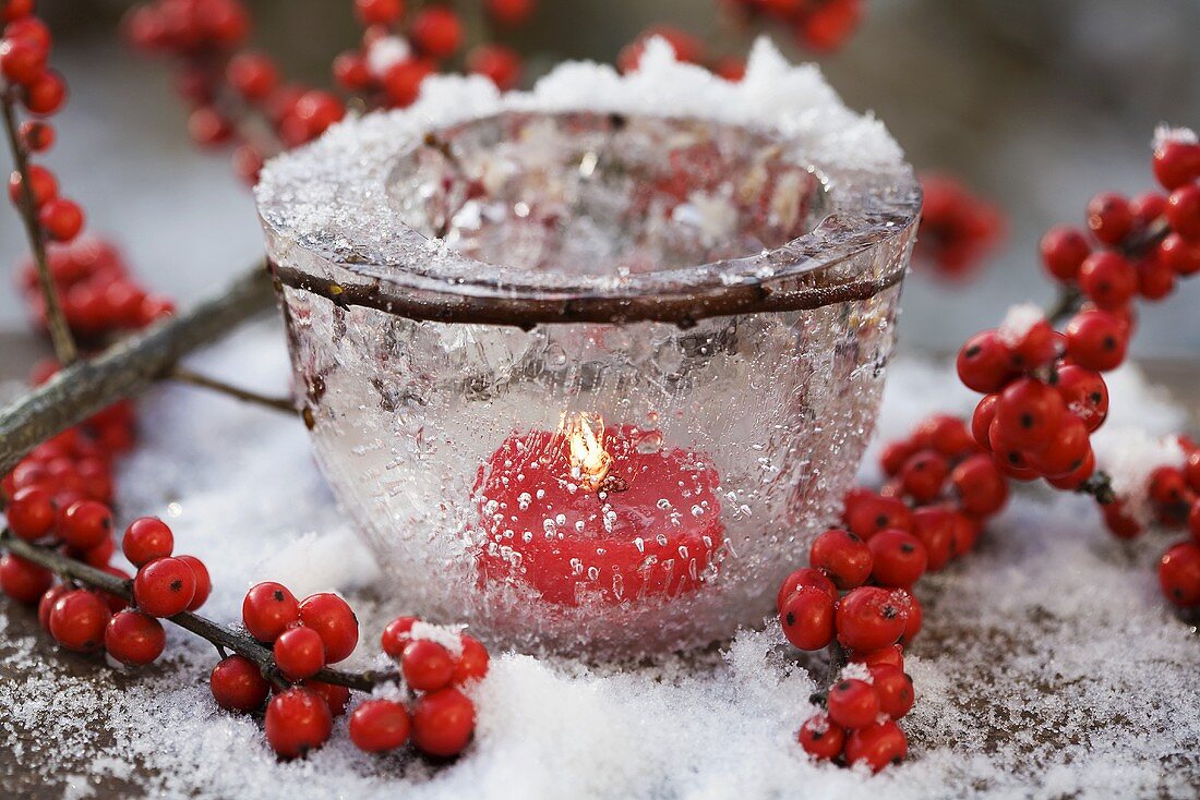 Schale aus Eis mit Kerze und Ilexbeeren