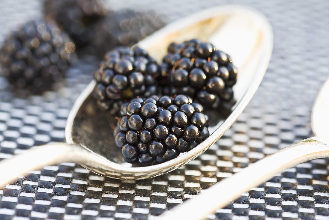 Brombeeren auf einem Silberlöffel